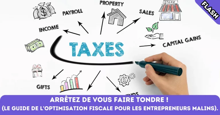 Le guide de l’optimisation fiscale pour les entrepreneurs malins
